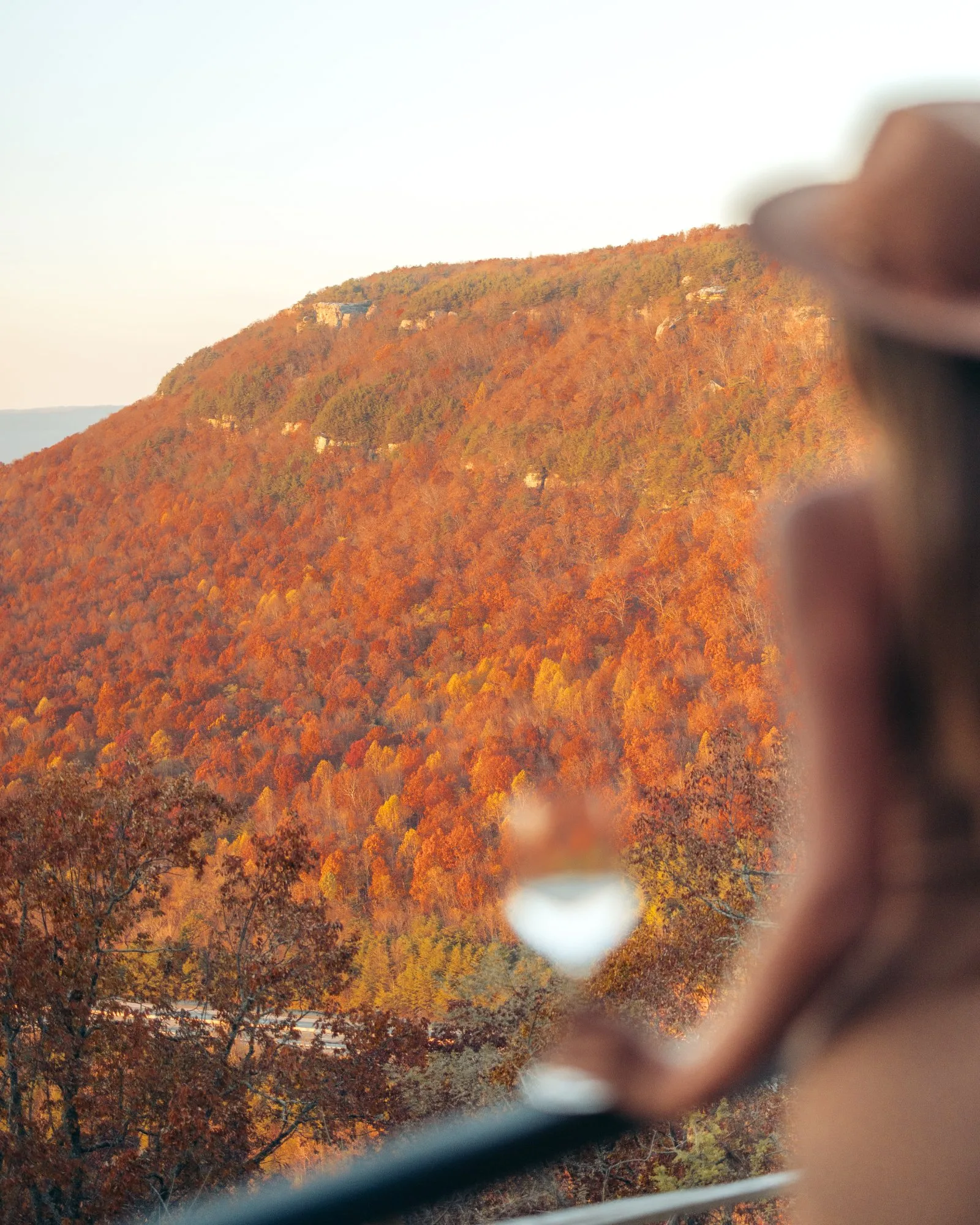 Glass of wine with fall valley view from The A-Frame deck
