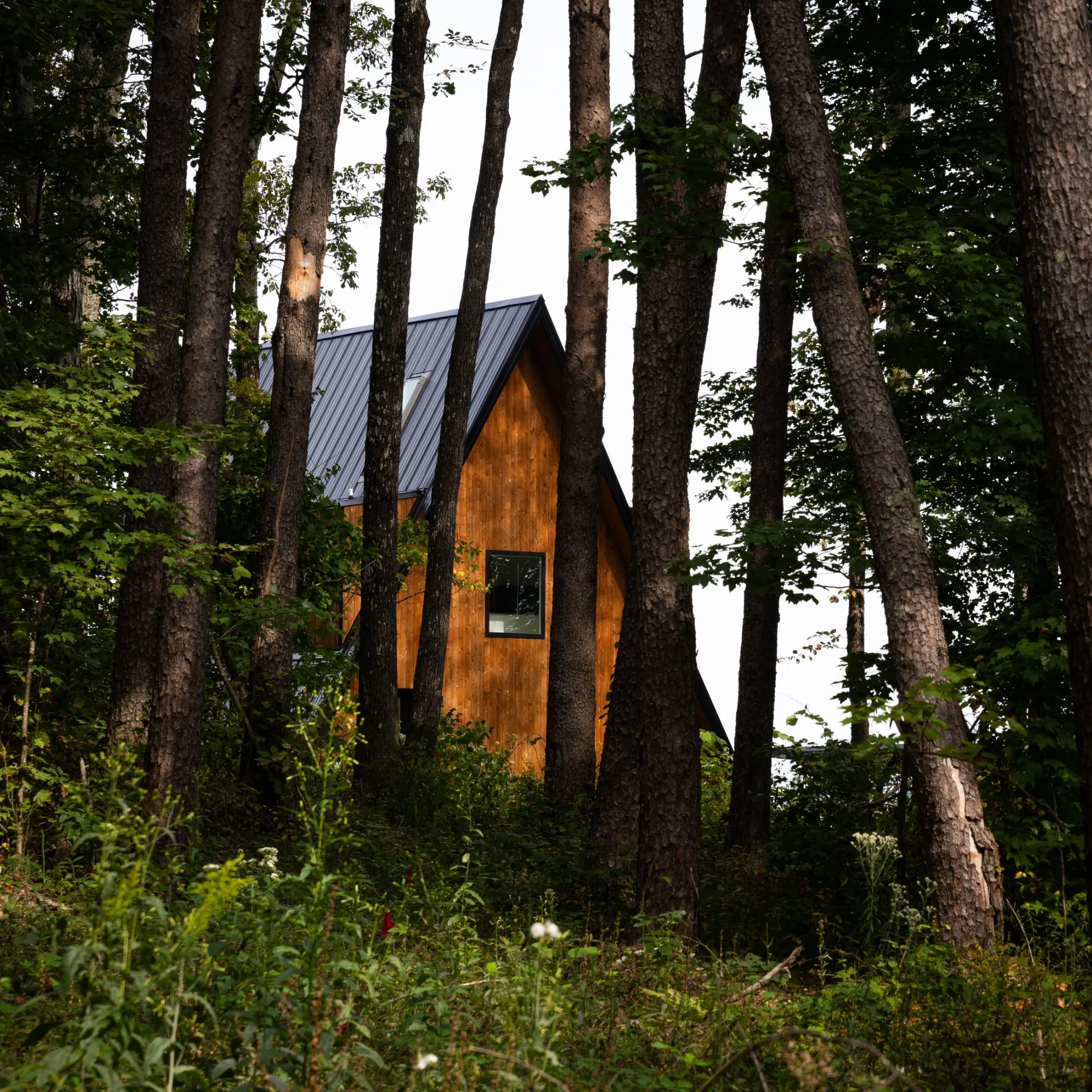 The A-Frame cabin seen through forest trees in summer Dunlap Tennessee